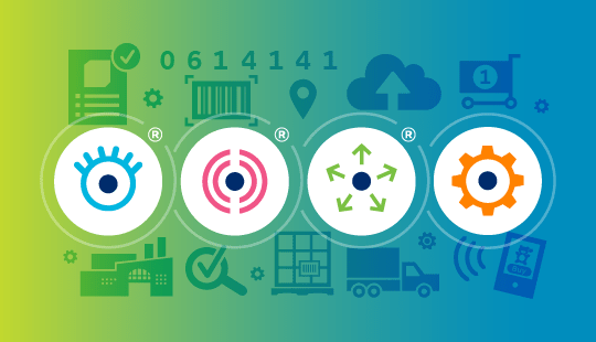 Identity, capture, share, use icons